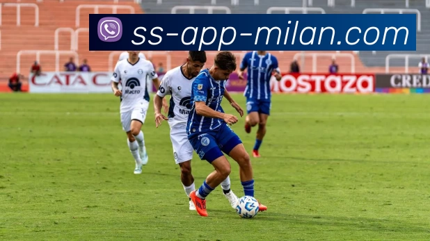 大理队，赢球“梅”问题！